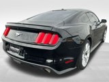 Used 2016 Ford Mustang Premium w/ Wheel & Stripe Package image 5