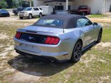 Used 2023 Ford Mustang Premium image 2