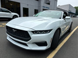 Certified 2024 Ford Mustang Premium image 5