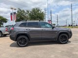 Used 2019 Jeep Cherokee Trailhawk w/ Cold Weather Group image 4