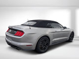 Used 2019 Ford Mustang GT Premium image 5