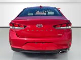 Used 2019 Hyundai Sonata Limited image 6