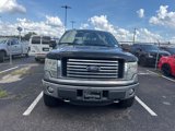Used 2011 Ford F150 XLT w/ XLT Chrome Pkg image 2