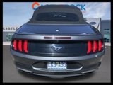 Used 2018 Ford Mustang Premium w/ Equipment Group 201A image 6