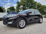Used 2020 Ford Escape SE image 4