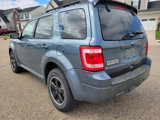 Used 2011 Ford Escape XLT w/ 202A Rapid Spec Order Code image 3