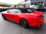 Used 2020 Ford Mustang Premium image 5