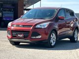 Used 2015 Ford Escape SE image 3