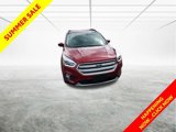 Used 2019 Ford Escape SEL image 4