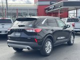 Used 2021 Ford Escape SE image 6