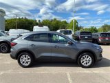 Used 2024 Ford Escape Active w/ Tech Pack #2 image 2