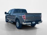 Used 2014 Ford F150 XLT w/ Equipment Group 302A Luxury image 3