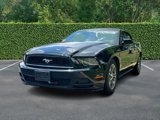 Used 2014 Ford Mustang Premium image 6