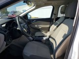 Used 2013 Ford Escape SE image 5
