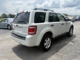 Used 2011 Ford Escape XLT w/ 201A Rapid Spec Order Code image 5