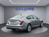 Used 2024 Cadillac CT5 Premium Luxury w/ Platinum Package image 4