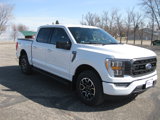 Used 2022 Ford F150 XLT w/ Equipment Group 302A High image 4