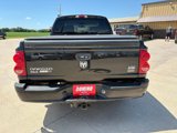 Used 2008 Dodge Dakota SLT w/ Mopar Chrome Edition Group image 5