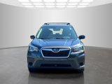 Used 2019 Subaru Forester Premium image 2