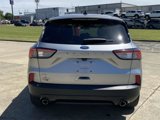 Used 2022 Ford Escape SE w/ SE Sport Appearance Package image 4