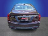 Used 2020 Cadillac CT5 Premium Luxury image 4