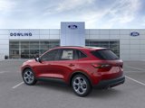 New 2025 Ford Escape ST-Line w/ Tech Pack #1 image 4