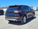 Used 2020 Ford Escape SE image 5