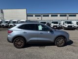 Used 2022 Ford Escape SE w/ Cold Weather Package image 5