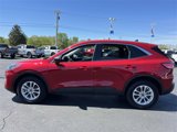Used 2022 Ford Escape SE w/ Convenience Package image 4