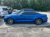 Used 2017 Ford Mustang Premium w/ Equipment Group 201A image 6