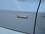 Used 2024 Ford Escape ST-Line w/ Equipment Group 301A image 6