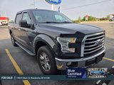 Certified 2017 Ford F150 XLT w/ Equipment Group 302A Luxury image 4