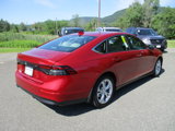 Certified 2023 Honda Accord LX image 5