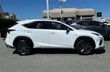 Used 2019 Lexus NX 300 F Sport image 3