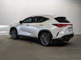 Used 2023 Lexus NX 350h AWD w/ Premium Package image 3