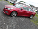 Used 2015 Hyundai Sonata SE w/ Option Group 02 image 4