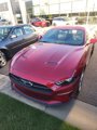 Used 2020 Ford Mustang Premium w/ Pony Package image 2