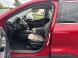 Used 2021 Ford Escape Titanium w/ Titanium Elite Package image 2