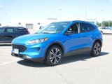 Used 2021 Ford Escape SE w/ SE Sport Appearance Package image 2