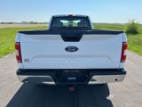 Used 2020 Ford F150 XL w/ Equipment Group 101A Mid image 6