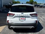 Used 2021 Ford Escape SE w/ Convenience Package image 4