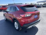 Used 2022 Ford Escape SE w/ Cold Weather Package image 6