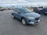 New 2025 Ford Escape Active image 4