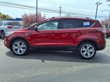 Certified 2017 Ford Escape Titanium image 5
