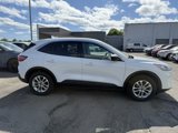 Used 2022 Ford Escape SE image 4