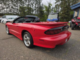 Used 2000 Pontiac Firebird Trans Am image 4
