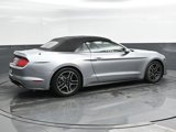 Used 2022 Ford Mustang Premium image 2