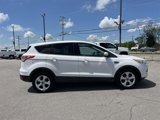 Used 2015 Ford Escape SE image 4