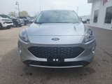 Used 2022 Ford Escape SEL image 2
