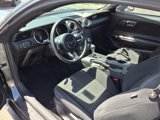 Used 2017 Ford Mustang Coupe image 4